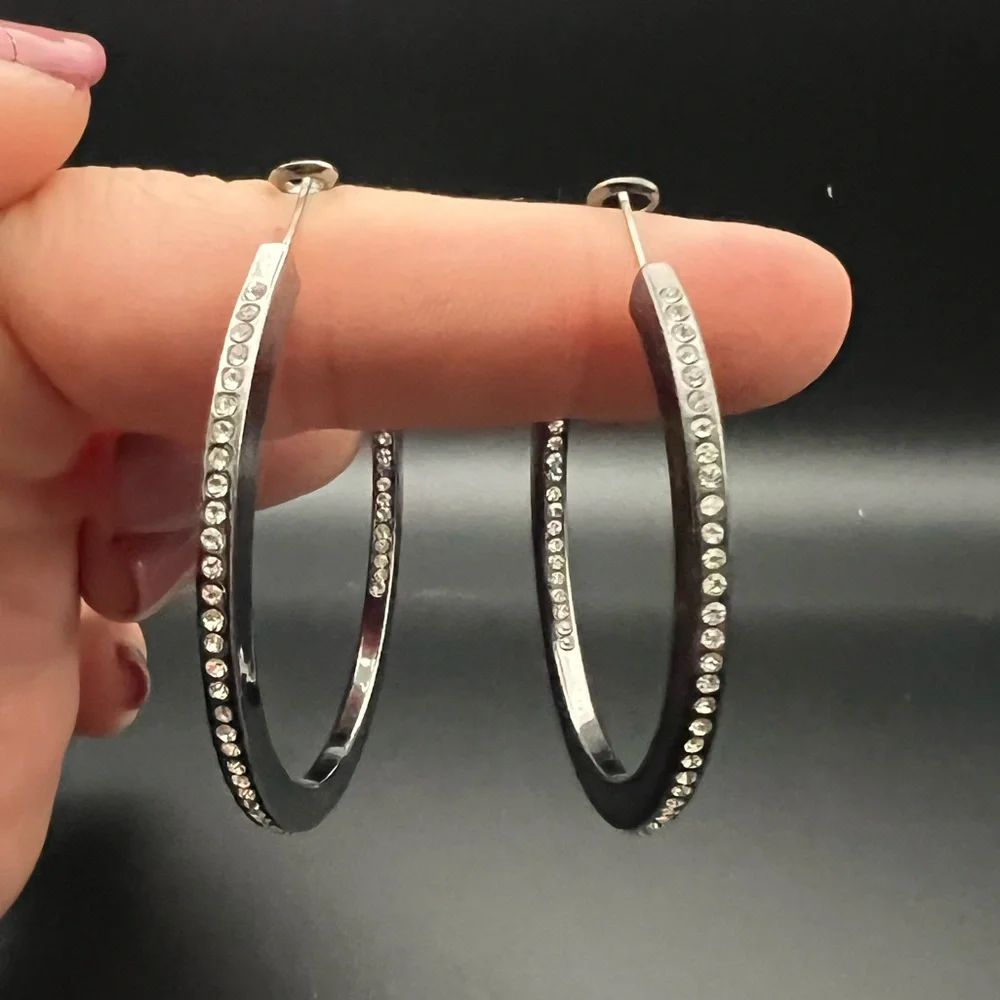 Stainless Steel and Rhinestone Hoop Fashion Earrings - Picture 1 of 3